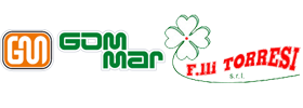 logo gommar